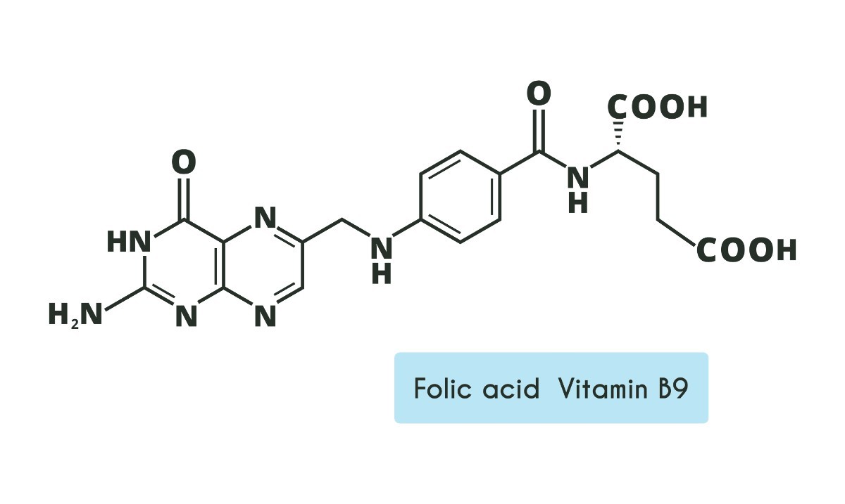 일반 엽산(folic acid, 비타민 B9)의 형태 / 셔터스톡