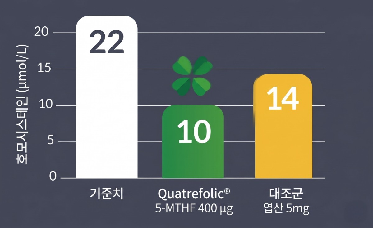 몸이 예전 같지 않다면? 나이 들수록 ‘활성형 엽산’을 섭취해야 하는 이유