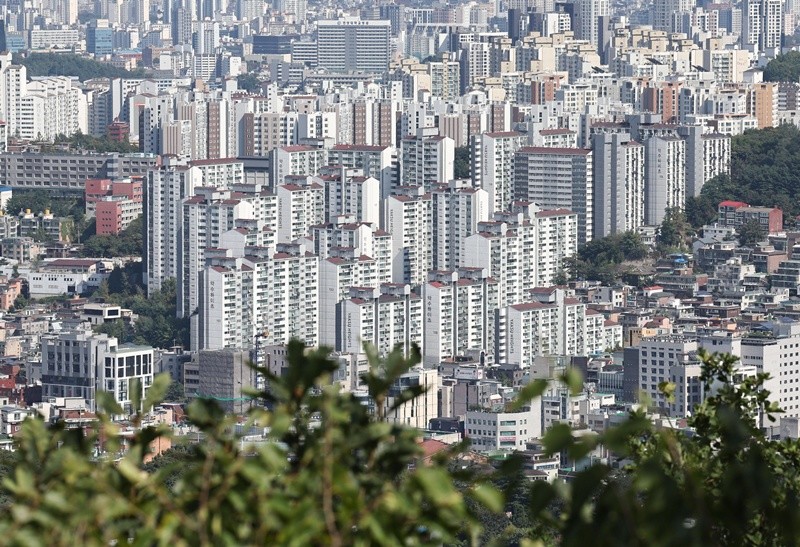 기사의 이해를 돕기 위한 사진 / 뉴스1