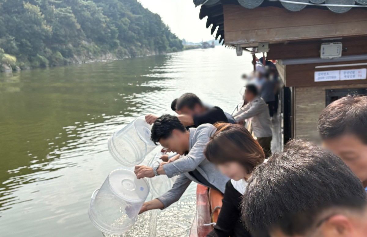 금강에 종어를 방류하는 모습. / 충남도 수산자원연구소 제공-뉴스1