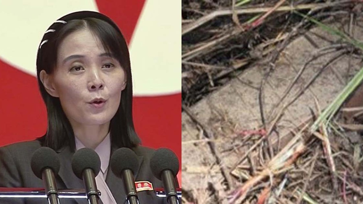 북한 김여정이 아무리 아니라고 우겨도 '북한이 심은 지뢰'가 확실한 이유