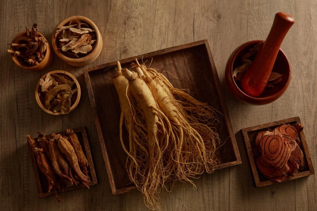 홍삼 자료사진. / Light Stock-shutterstock.com
