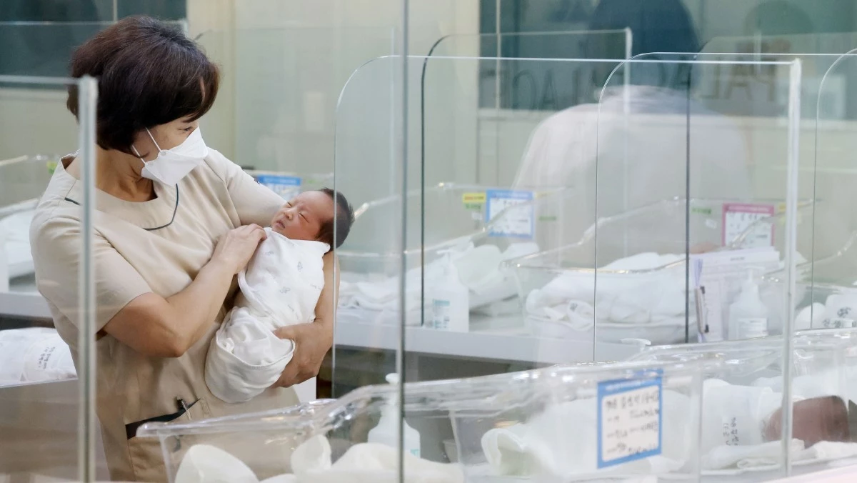 기사의 이해를 돕기 위한 사진 / 뉴스1