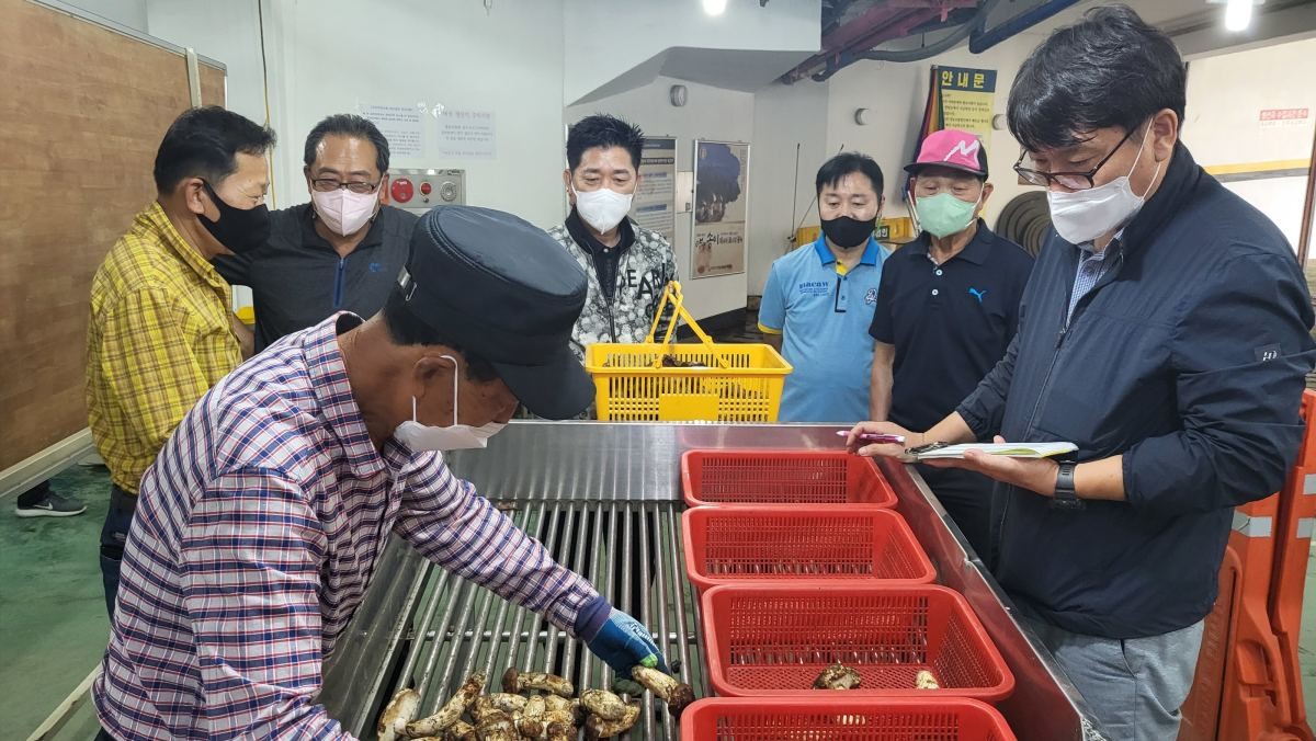 1㎏에 무려 162만원…역대 최고가 다시 썼다는 '귀한 식재료' 정체