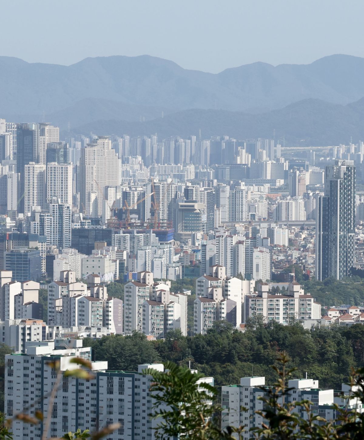 서울 남산에서 바라본 아파트단지 모습. / 뉴스1