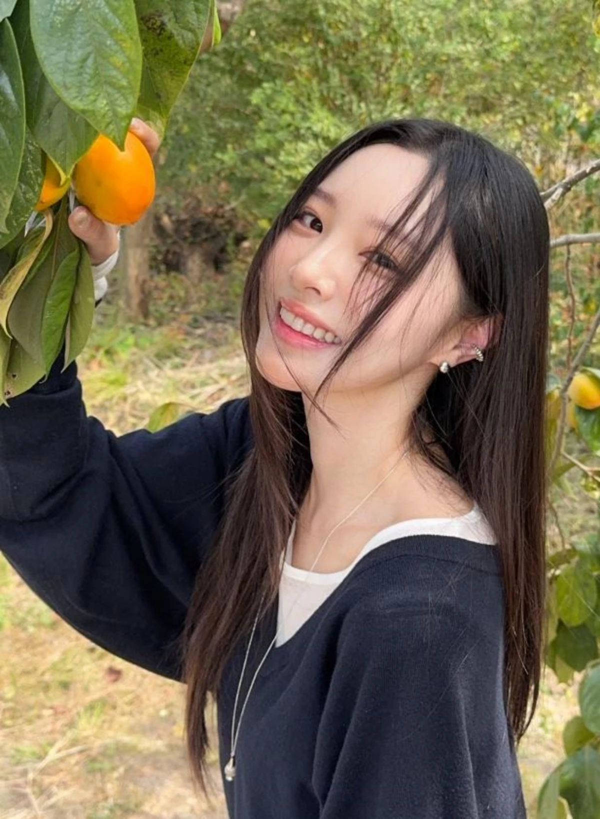 이솔이 / 이솔이 SNS