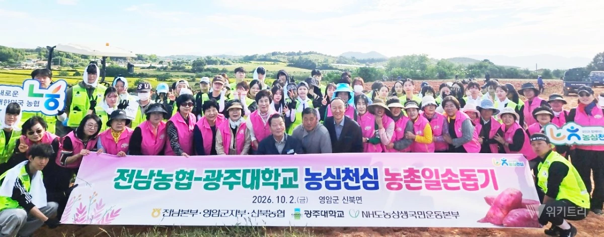 농협전남본부는 2일 영암군 신북면 일대 농가에서 고구마 수확 일손돕기를 진행했다 / 전남농협