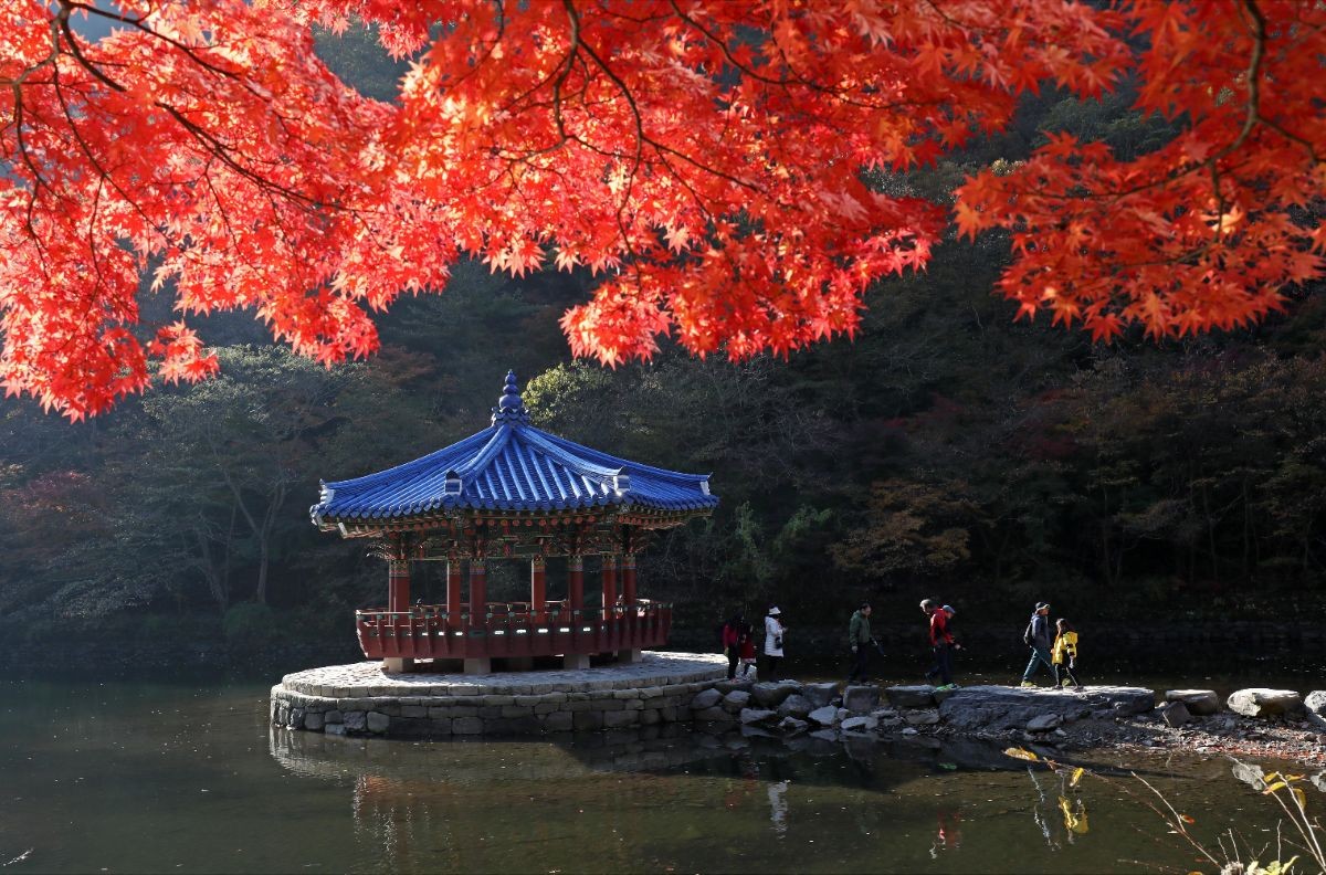 '단풍 나들이' 계획하기 전에 알아두세요... 올해 지역별 단풍 절정기
