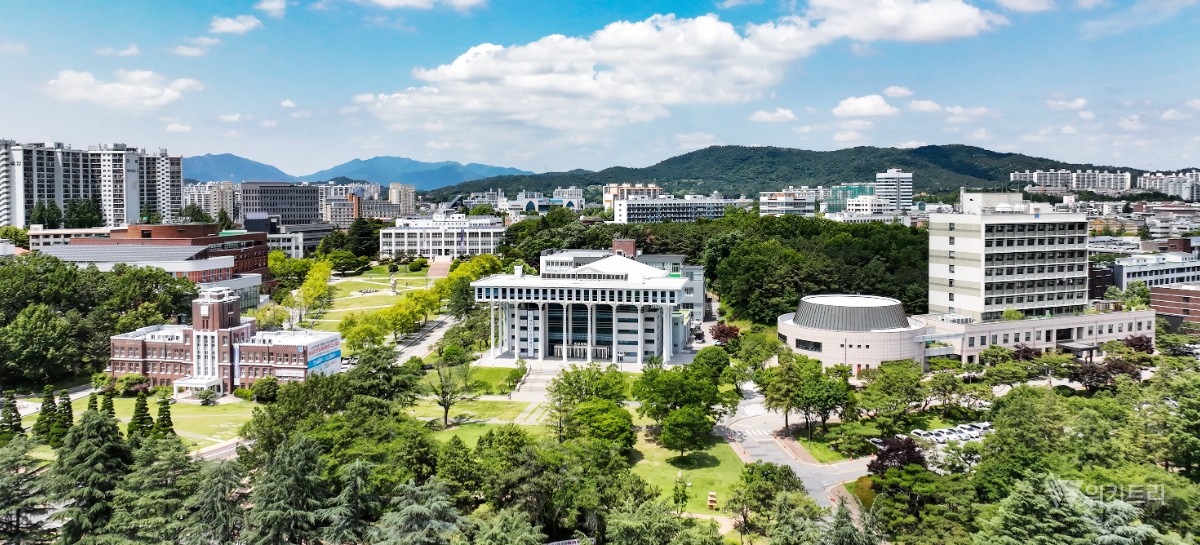 전남대 세계 순위 245계단 상승…글로벌 경쟁력 입증