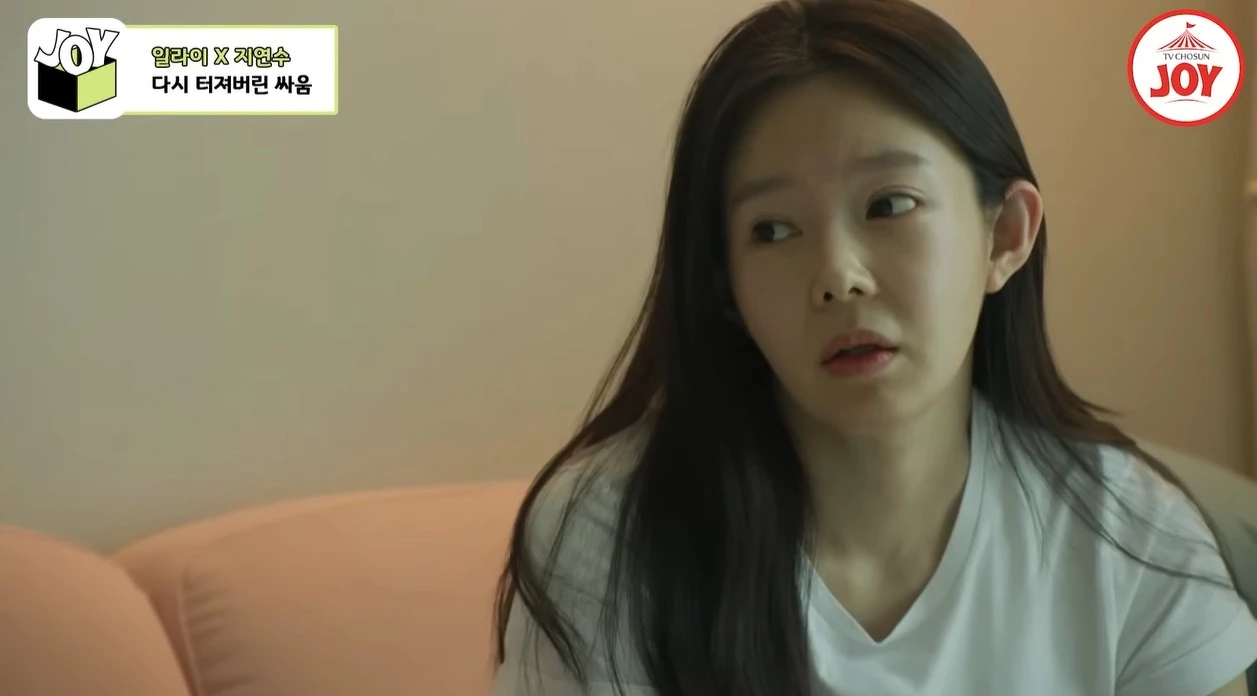 유튜브 'TVCHOSUN JOY'
