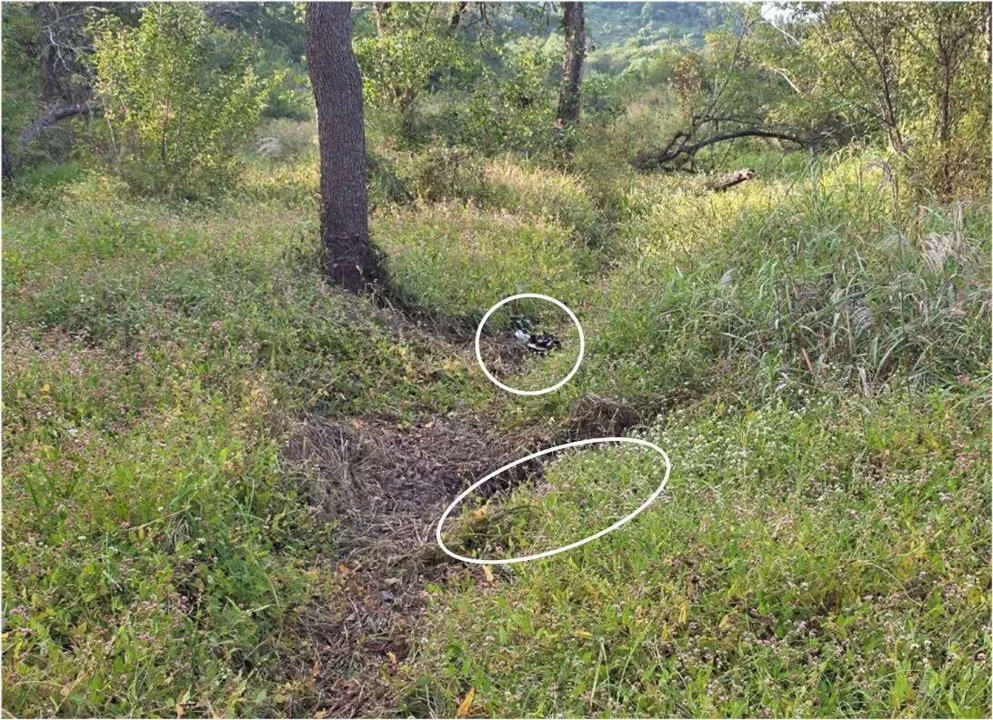 지난달 28일 서울 용산구 국방부에서 열린 합참 비무장지대 지뢰 추정 폭발 사고 브리핑에서 공개된 지뢰 폭발 화구 사진 / 합동참모본부 제공