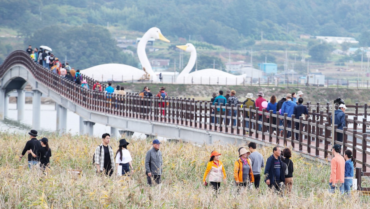 갈대 물결 따라 가을이 춤춘다…강진만 생태축제