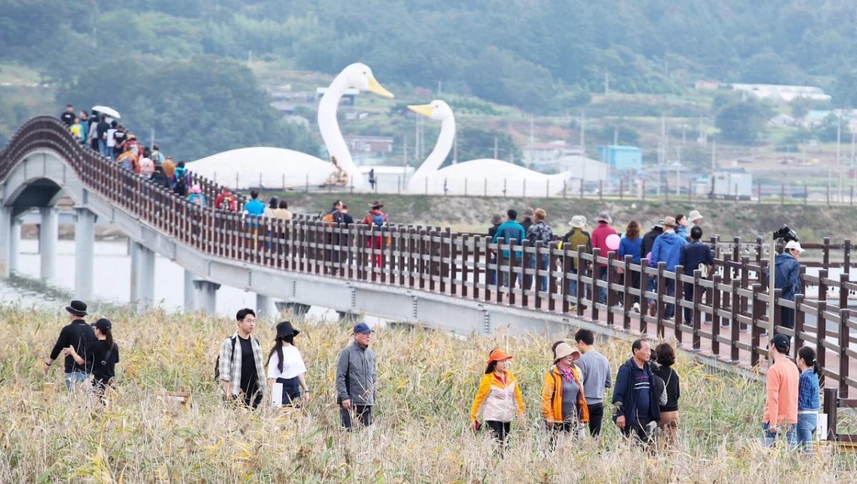전남광주시 강진군은 오는 24일부터 11월 1일까지 강진만 생태공원 일원에서 ‘제11회 강진만 춤추는 갈대축제’를 개최한다. / 강진군