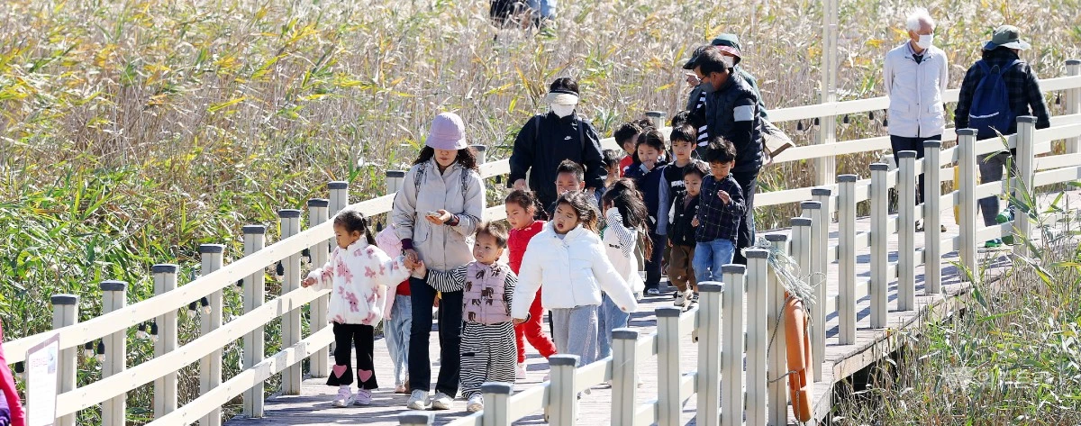 전남광주시 강진군은 오는 24일부터 11월 1일까지 강진만 생태공원 일원에서 ‘제11회 강진만 춤추는 갈대축제’를 개최한다. / 강진군