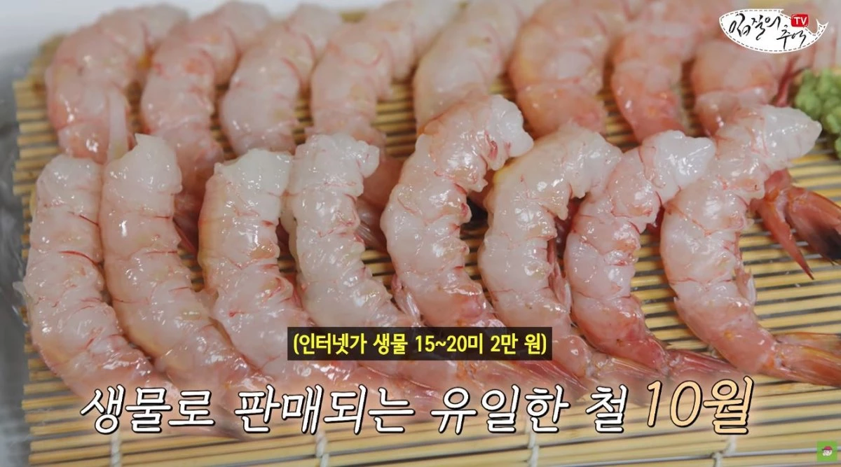 대롱수염새우(달마새우). / 유튜브 '입질의추억TV jiminTV'