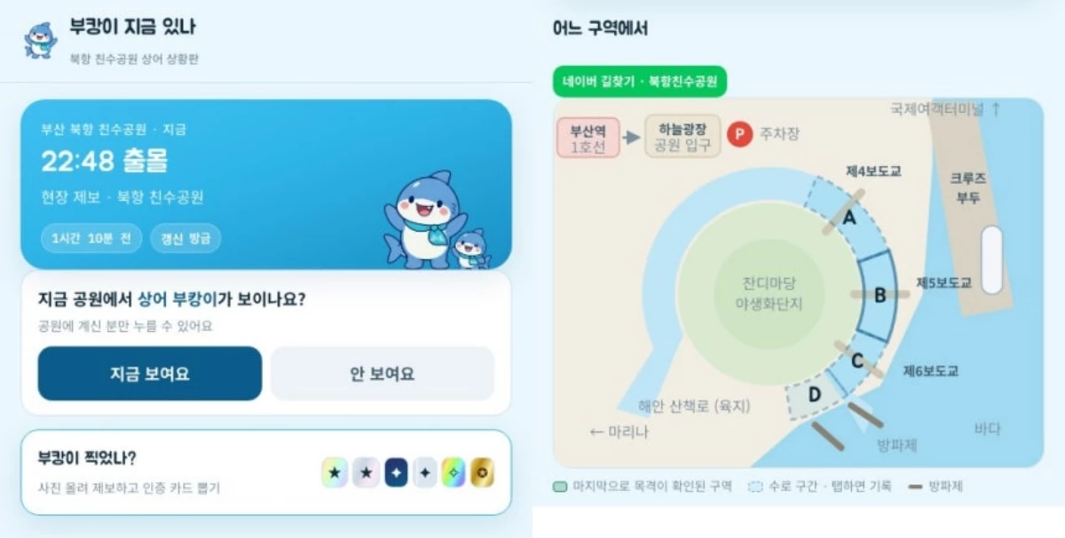 '부캉이 지금 있나' 웹서비스 화면 / 국립부경대학교 제공