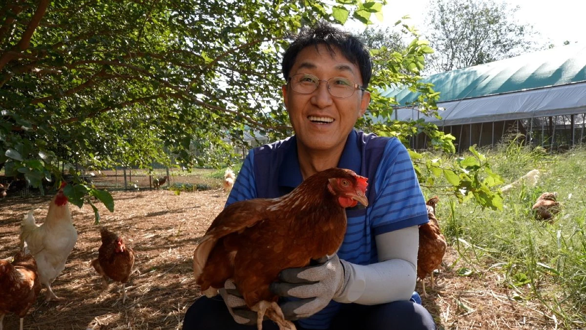 6일 '한국기행'의 871편 2부 '꼬끼오 부부의 특별한 동물농장' 방송 자료 화면. / EBS