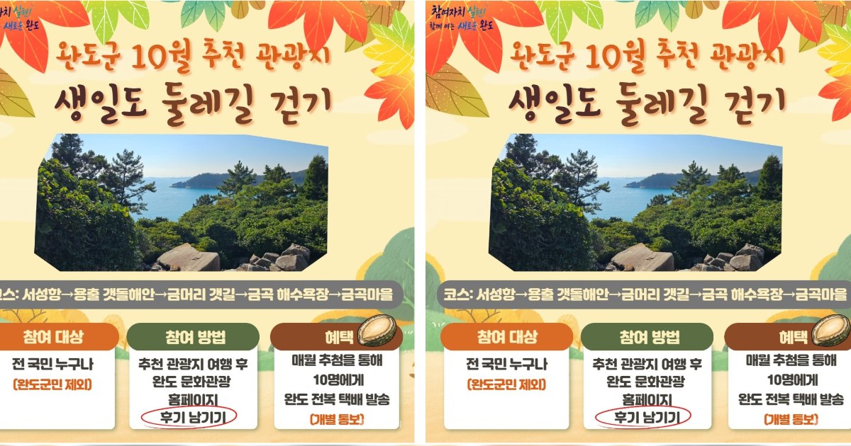 완도 생일도 둘레길, 가을 바다와 숲이 부르는 힐링 명소