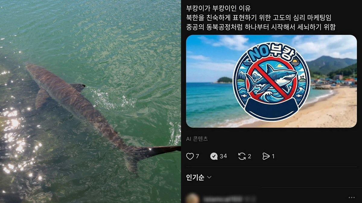 '부캉이=북한?'… 부산 상어 황당 음모론에 “그럼 북한산은?”