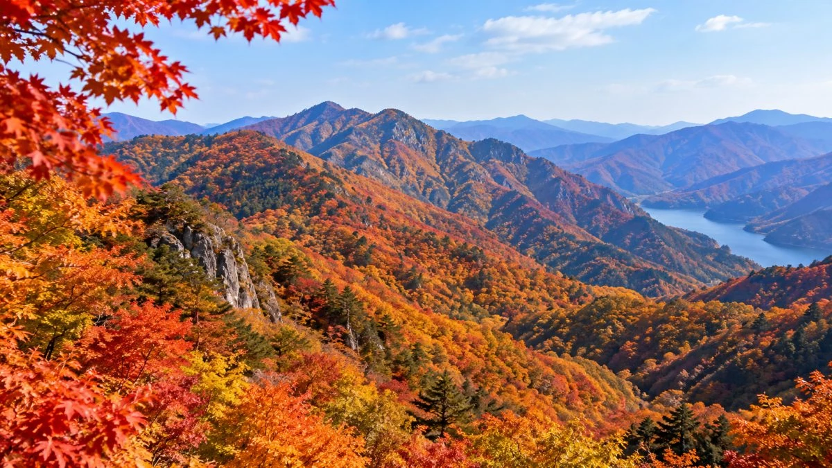 가을 풍경 사진 / AI 생성 이미지