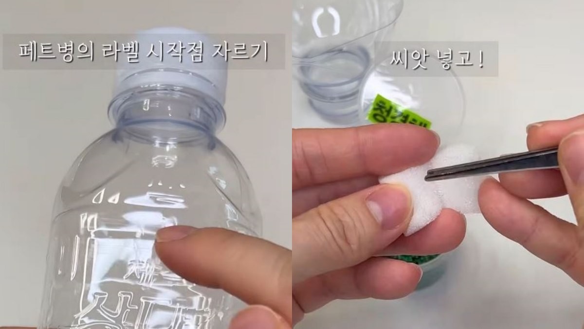 유튜브 '웰니스가드너 솔룸'
