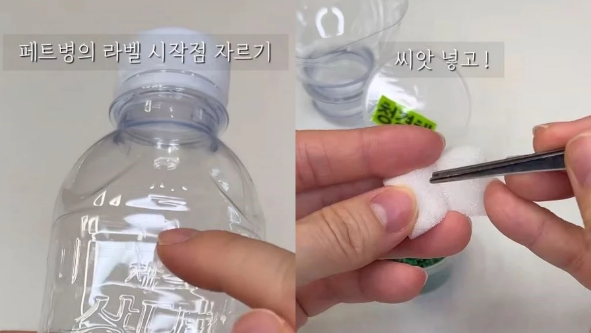 유튜브 '웰니스가드너 솔룸'