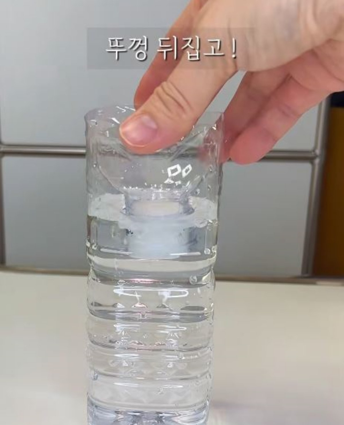 유튜브 '웰니스가드너 솔룸'