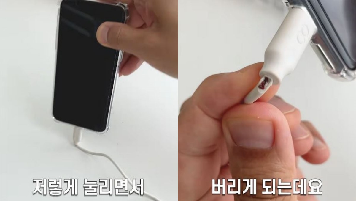 유튜브 '봄집사'
