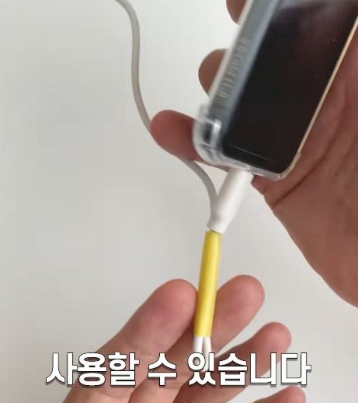 유튜브 '봄집사'