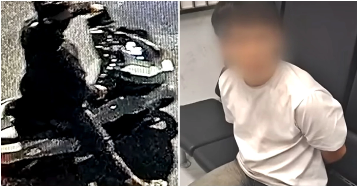 20대 여성 흉기 습격 후 바지 단추 풀던 10대 괴한이 저지른 범행, 정말 끔찍하다