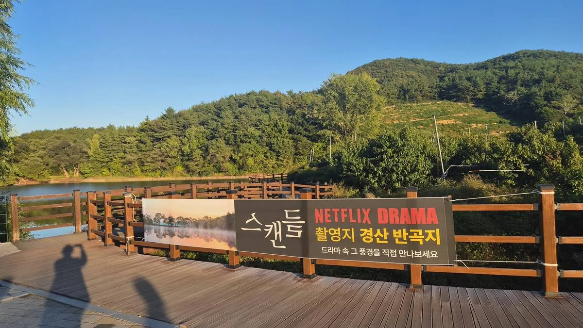 경산시 대표 관광명소인 반곡지 일원에 영화 스캔들을 홍보하는 현수막이 설치돼 있다. / 경산시