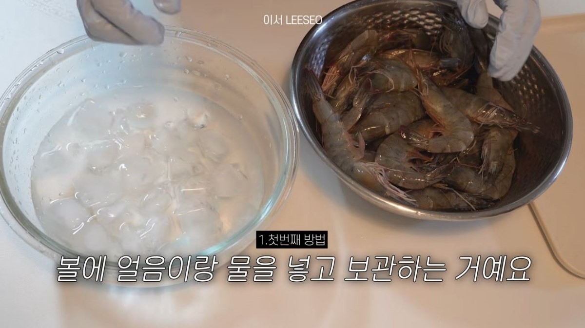 볼에 얼음과 물을 넣어 생새우를 보관하는 모습. / 유튜브 '이서 LEESEO'