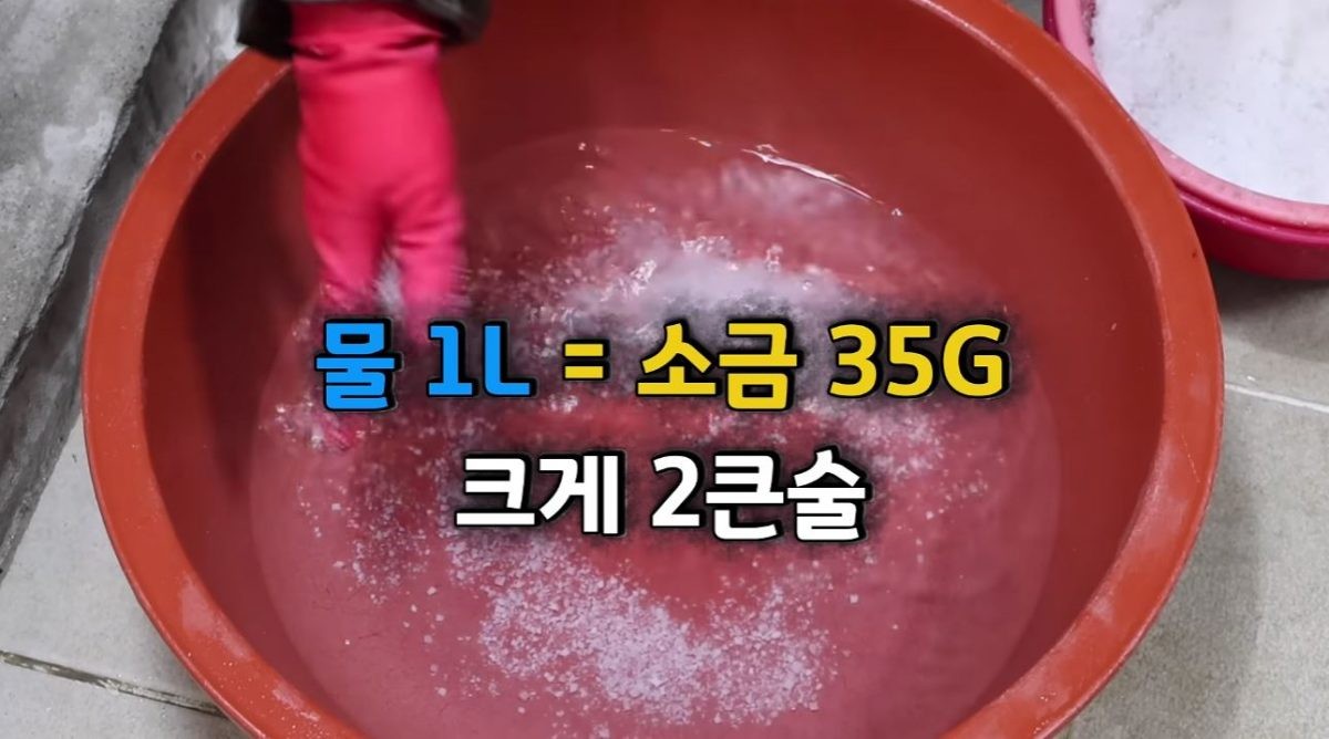 물 1L당 소금 35g을 넣는 모습. / 유튜브 '20대 수산물 전문가, 에단'