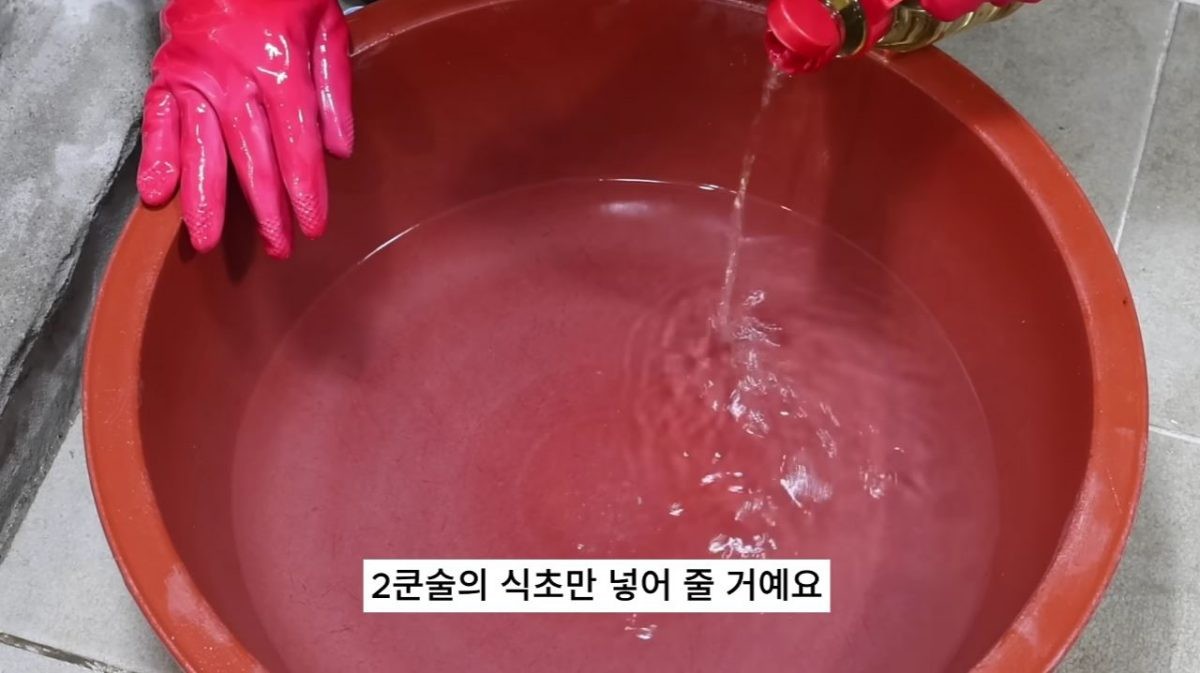 식초의 산성이 바지락에 자극을 줘 입을 열도록 유도할 수 있다고 한다. 다만 산성이 지나치게 강하면 오히려 바지락에 스트레스를 줄 수 있어 물 1L당 식초 2큰술만 넣어준다. / 유튜브 '20대 수산물 전문가, 에단'