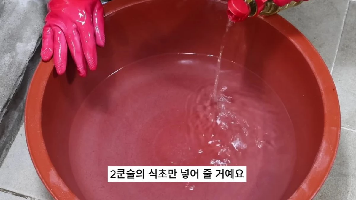 식초의 산성이 바지락에 자극을 줘 입을 열도록 유도할 수 있다고 한다. 다만 산성이 지나치게 강하면 오히려 바지락에 스트레스를 줄 수 있어 물 1L당 식초 2큰술만 넣어준다. / 유튜브 '20대 수산물 전문가, 에단'