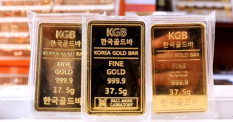 기사의 이해를 돕기 위한 사진 / 뉴스1