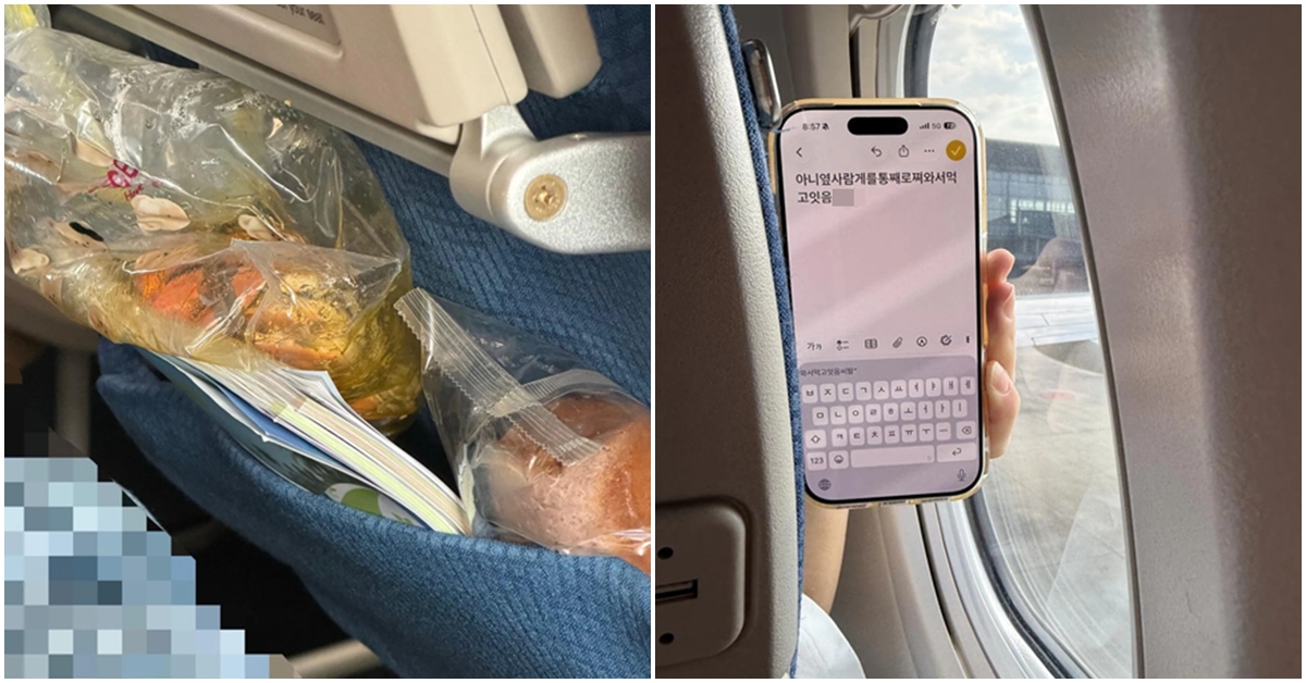 "이걸 비행기에서 먹는다고?”…옆자리 승객 보고 두 눈 의심했다