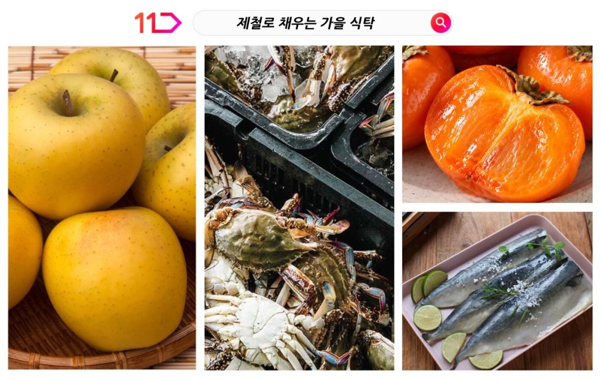 11번가 할인 이벤트 / 11번가