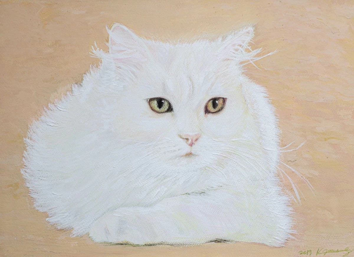 ‘아롱이(Arongi)’, 2019