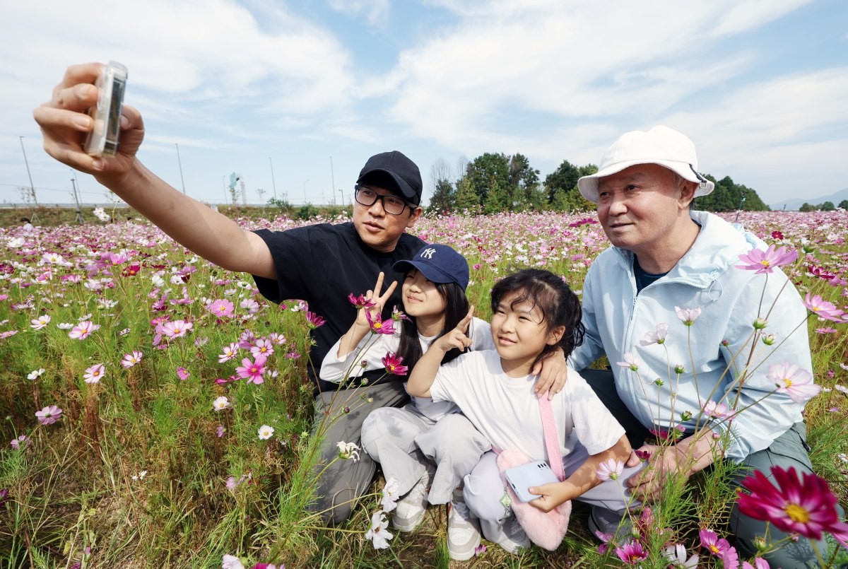 지난 9일 오후 경기 구리한강시민공원에서 열린 2026 구리 코스모스 축제를 찾은 시민들이 꽃밭에서 사진을 찍고 있다. / 뉴스1