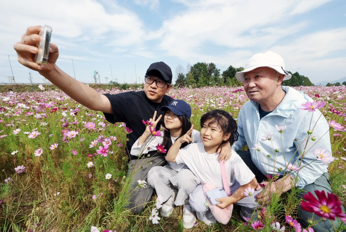 지난 9일 오후 경기 구리한강시민공원에서 열린 2026 구리 코스모스 축제를 찾은 시민들이 꽃밭에서 사진을 찍고 있다. / 뉴스1