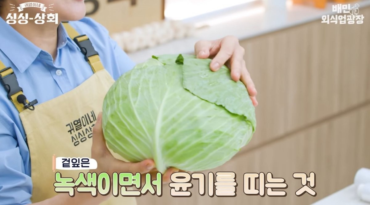 양배추를 신선하게 보관하려면 먼저 상태가 좋은 것을 골라야 한다. 전체적으로 둥근 모양을 갖추고 겉잎에 녹색 윤기가 도는 양배추를 선택하는 게 좋다. 표면에 상처가 있거나 시든 부분이 없는지도 살펴봐야 한다. 양손으로 양배추를 잡고 눌렀을 때 쉽게 들어가지 않고 단단한 느낌이 드는 것이 좋다. 눌렀을 때 속이 들어간다면 잎이 충분히 차지 않았을 수 있다. / 유튜브 '배민외식업광장'