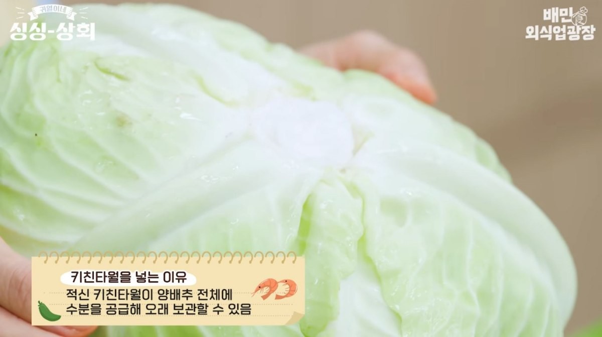 양배추 심지를 제거한 자리에 물에 적신 키친타월을 넣어준다. / 유튜브 '배민외식업광장'