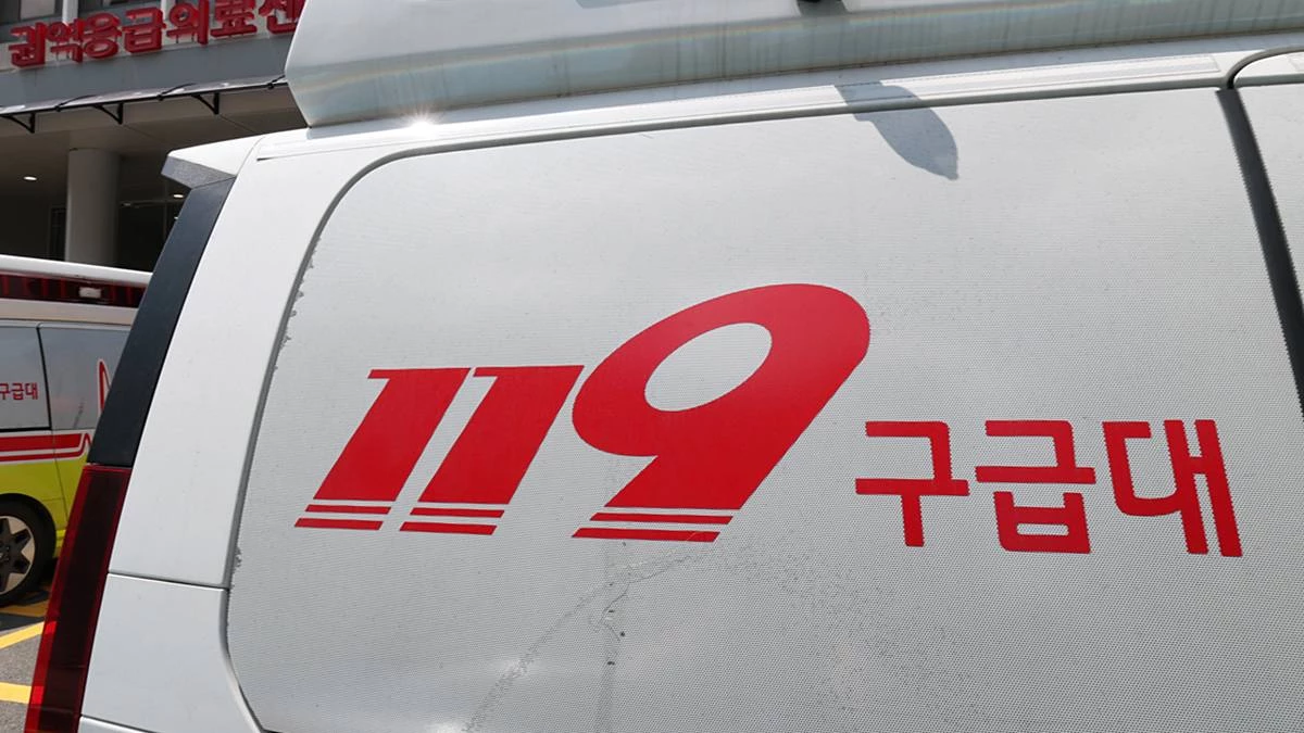 119 / 뉴스1