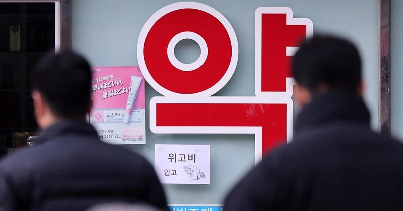 기사의 이해를 돕기 위한 사진 / 뉴스1