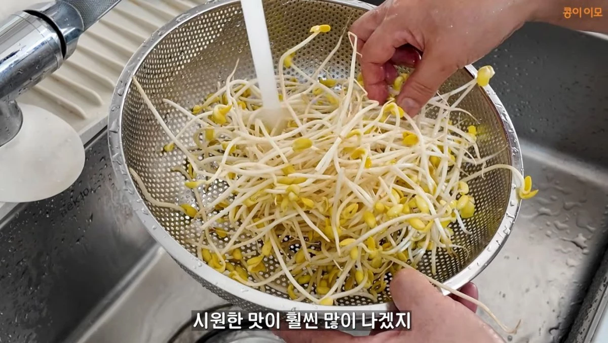 콩나물을 깨끗하게 씻는 모습. / 유튜브 '콩이 이모'