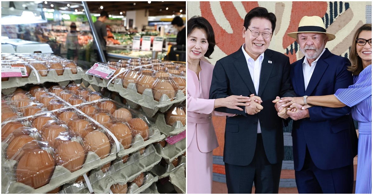 계란 한 판을 4만3923원에 수입... 쇠고기·돼지고기로도 사태 번지나