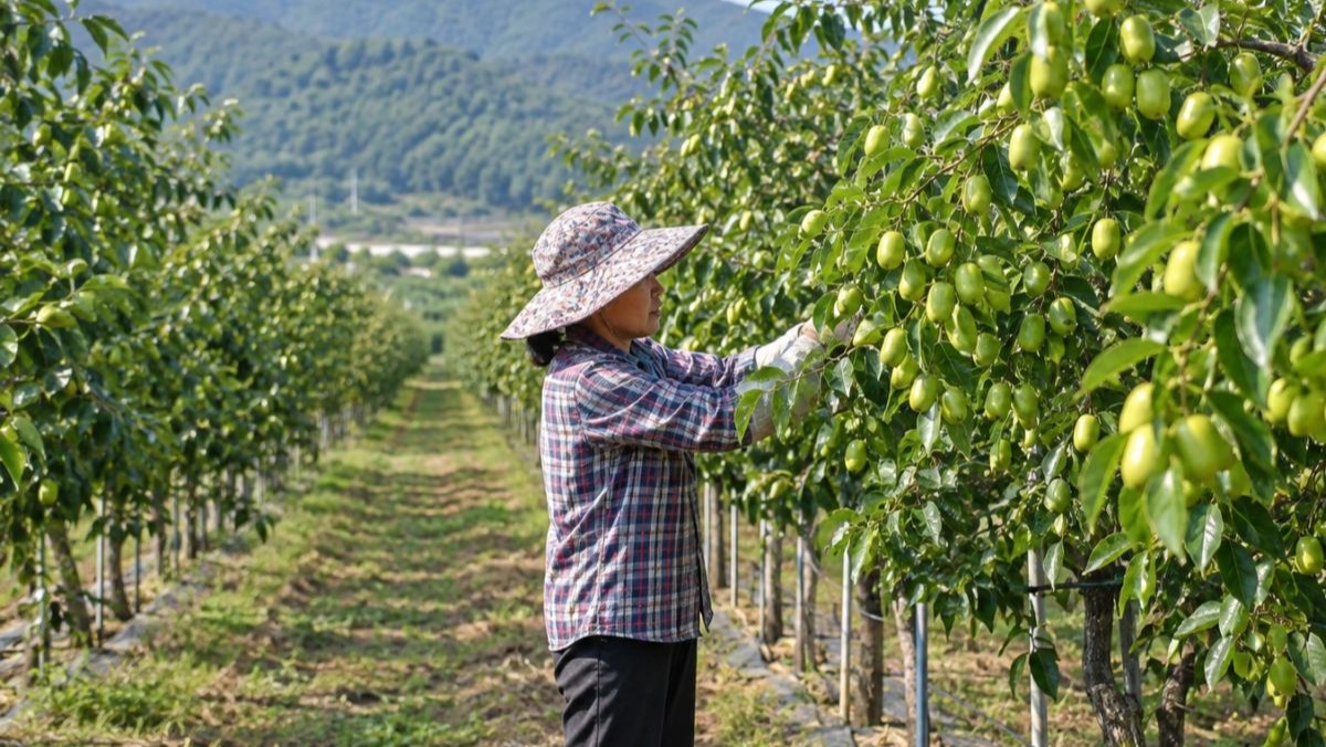 지금 먹어야 보약…산림청이 10월에 콕 집은 '제철 먹거리'