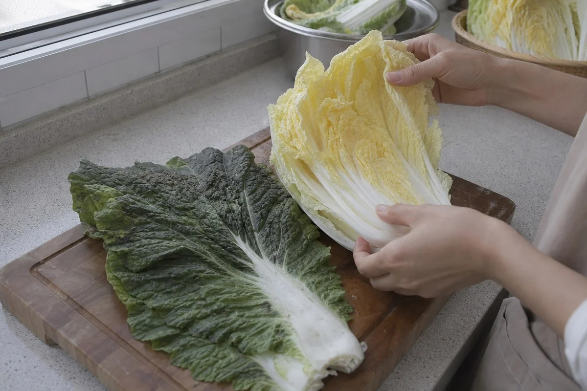 도마 위에서 배추 겉잎과 속잎을 나눠 들어 비교하는 모습 — AI로 생성한 자료 이미지