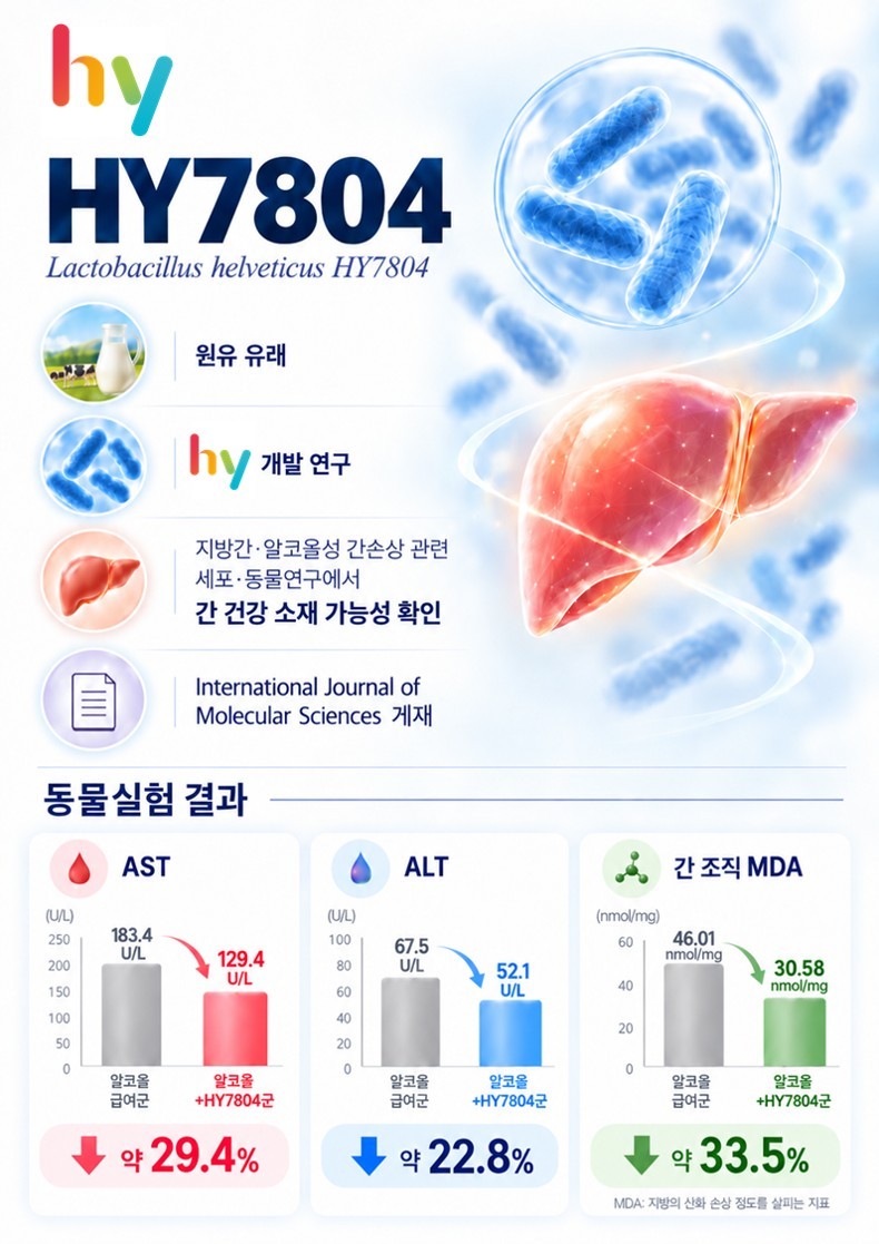 hy가 자체 개발한 프로바이오틱스 ‘HY7804’ 관련 연구 이미지. / hy 제공